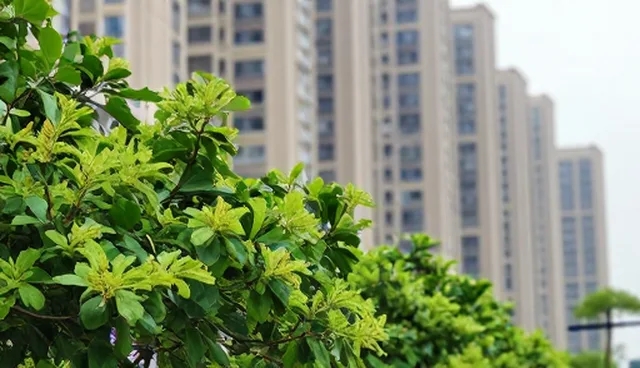 理解偏差：批发供货中的质量检验关键
